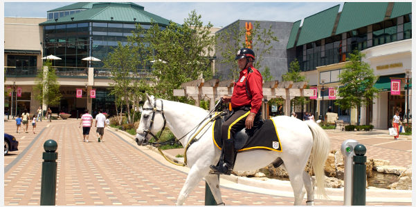 Rider and horse at The Woodland