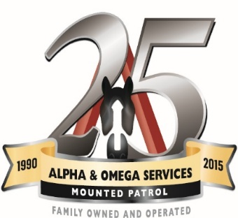 A&O Services 25th anniversary logo spanning 1990 to 2015
