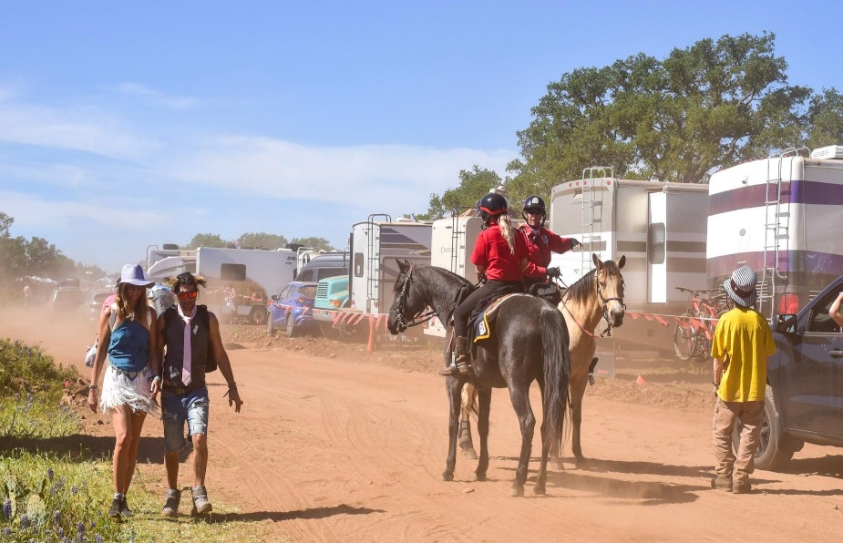 A&O mounted patrol working in dusty festival conditions