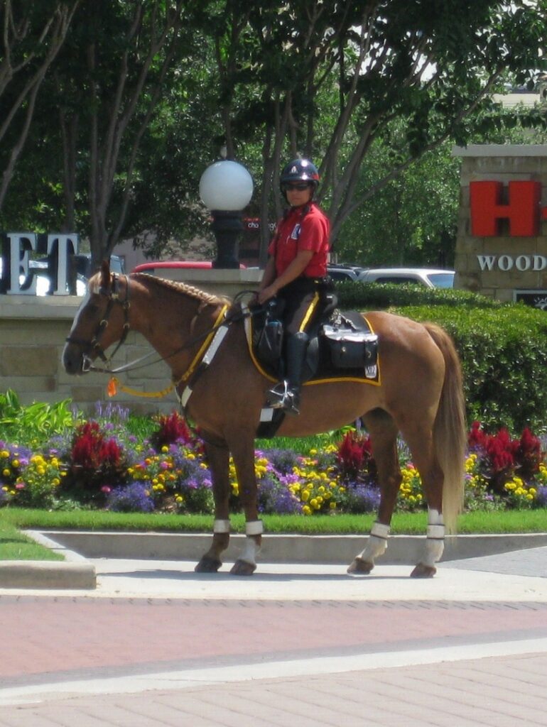 A&O mounted Trooper wearing the company red and black uniform