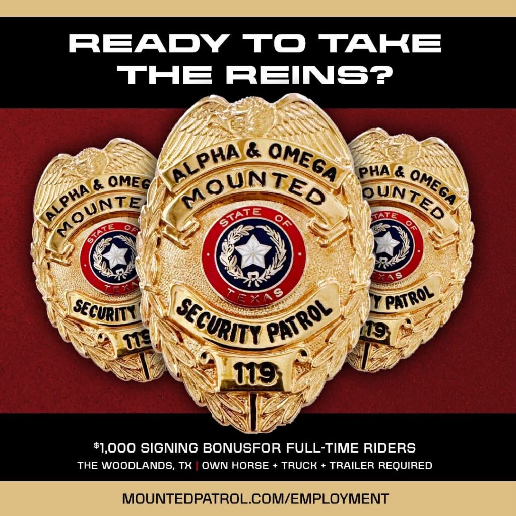 A&O Mounted Security Patrol uniform badges