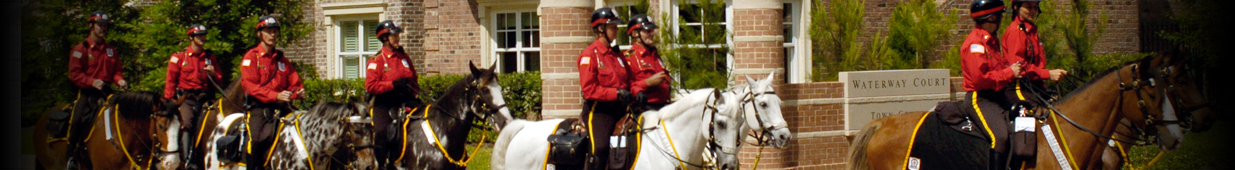 Mounted Patrol Riders and Horses
