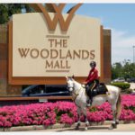 Mounted Patrol at The Woodlands