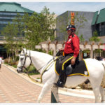 Rider and horse at The Woodlands